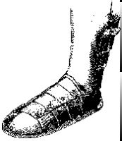 Soleret 1